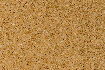 Brown rice background, raw rice for proper nutrition