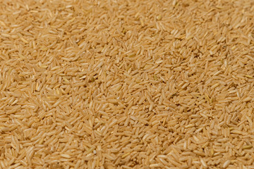Brown rice background, raw rice for proper nutrition