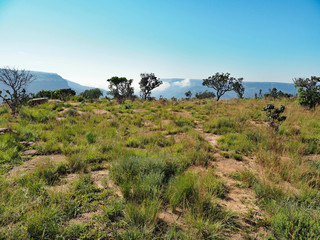 Blyde River Canyon – Der Grünste Canyon der Weltt