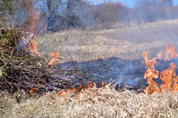 Burning grass and leaves on a meadow in spring