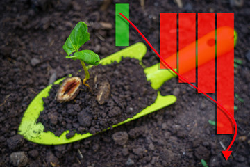The nature green park tree sprout from the seed is growing on the soil on a green spade and technical stock chart market growth down arrow symbol stock downtrend or Bear market dividend value volume.