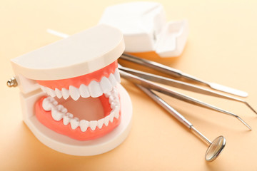 Teeth model with dental instruments and thread on beige background