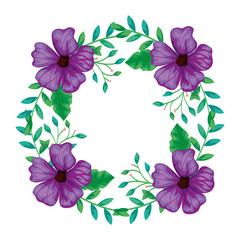 frame circular of flowers purple with branches and leafs vector illustration design