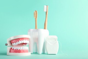 Teeth model with toothbrushes and dental thread on green background