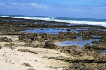 Fototapeta na wymiar beach reef