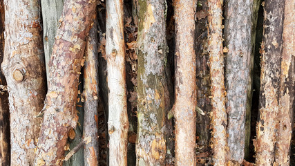 rusty corrugated metal background