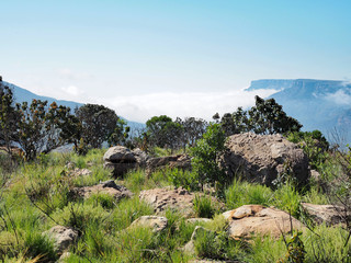 Blyde River Canyon – Der Grünste Canyon der Weltt