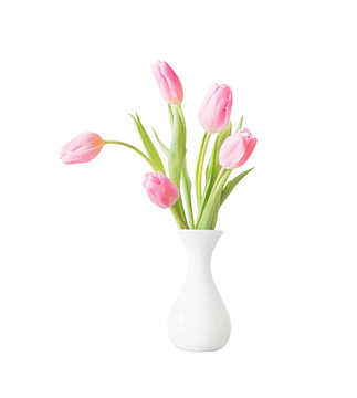 pink tulips in white ceramic vase isolated on white background