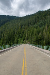 Fototapeta na wymiar Straight highway road in Mount Rainier National Park with evergreen trees in the background