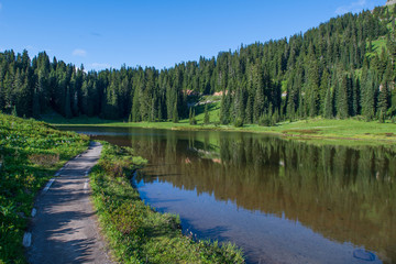 Reflections of the trees at Tipsoo Lake in Mount Rainier National Park in Washington, USA