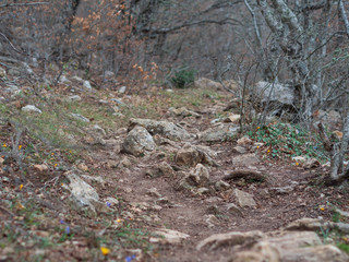 Hiking trail in mountains in Crimea. Springtime in the mountains.