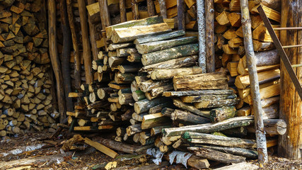 Stacked in a woodpile chopped firewood as a background.