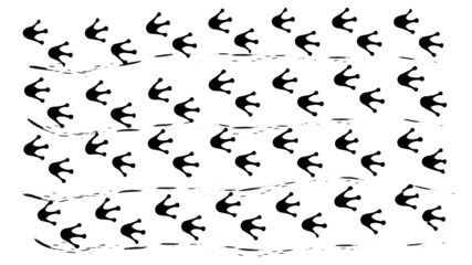 Vorlagen- Muster - Vogelspuren