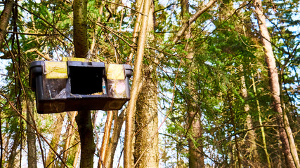 homemade bird feed in moscow