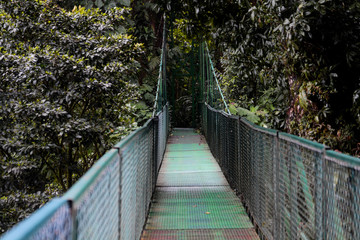 Ponte sospeso a Monteverde