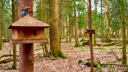 homemade bird feed in moscow