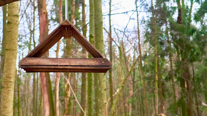 homemade bird feed in moscow