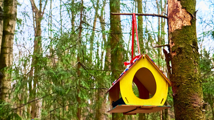 homemade bird feed in moscow