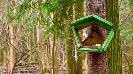 homemade bird feed in moscow
