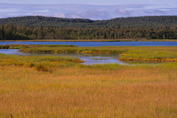 Fototapeta na wymiar View of nature reserve Vajsjon near Norsjo, northern Sweden