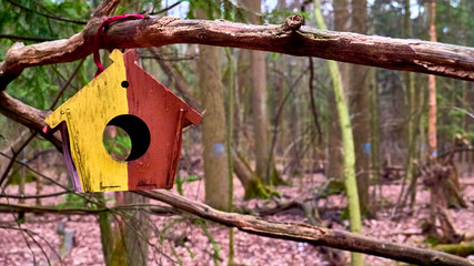 homemade bird feed in moscow