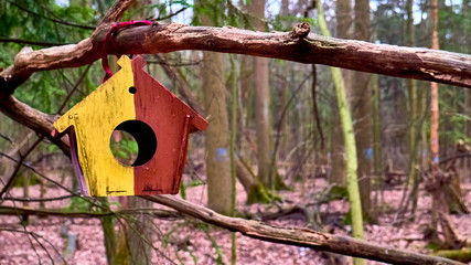 homemade bird feed in moscow