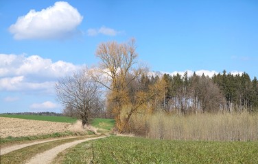 Ländliches Panorama