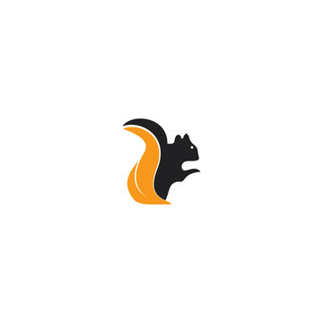 Squirrel vector logo design. Chipmunk logo design.