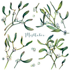Watercolor Collection of Mistletoe Branches