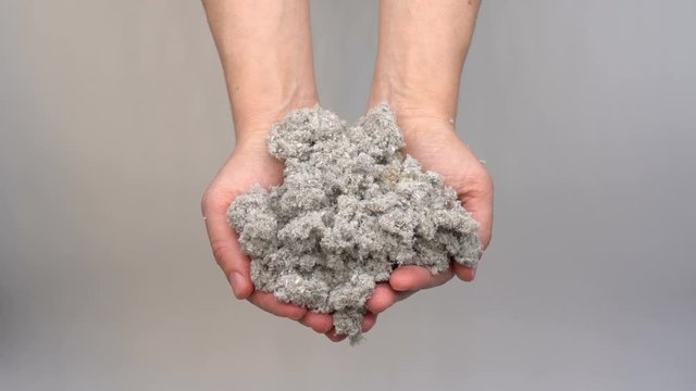 Hands holding eco-friendly cellulose insulation for walls for floors recycled newsprint warm house heat preservation and energy saving