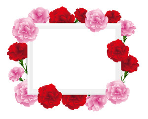 art frame with carnations illustration