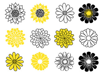 Flower head vector icon set. Daisy, sunflower and golden-daisy plants.