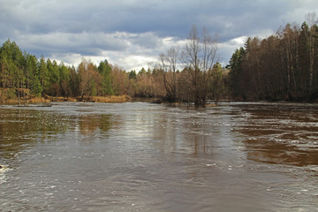 River in a delightful spring forest at cloudy evening. Unusual and picturesque scene.