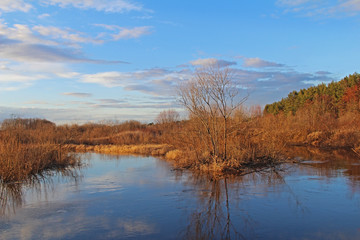 Spring bare shrub near a river on blue sky background.