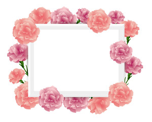 art frame with carnations illustration
