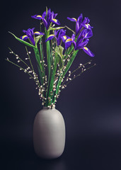 A bouquet of fresh irises is isolated on a black background. Drops of water are on the petals. Beautiful spring background.