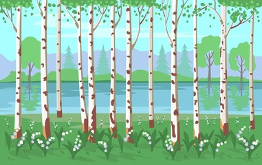 Birch grove with lilies of the valley and a river. Vector background