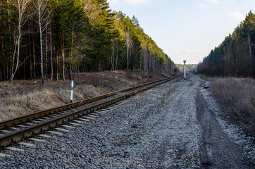 Obraz premium The railway near the forest goes into the distance. Railway in the forest