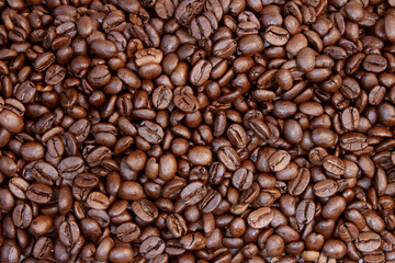 Roasted coffee beans