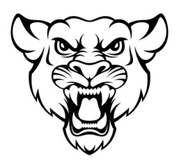 Angry puma on a white background