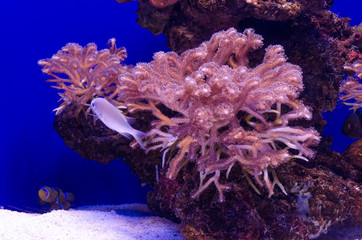 The bottom of the ocean