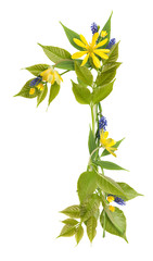 Number one from branches, leaves and blue and yellow flowers