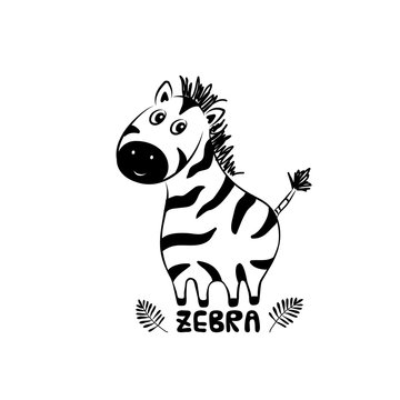 Vector illustration of cute Zebra with palm leaves, children's print on clothes