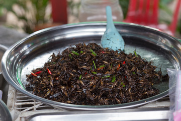 Fried grasshoppers at a street food stall in Cambodia