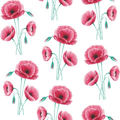 Seamless pattern of watercolor pink poppies with buds. Abstract design for spa, relax, holiday. Arrangement perfectly for printing design on invitations, cards, wall art and other. Hand painted.