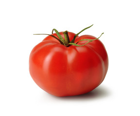 Red Tomato from Italy – Isolated on White Background