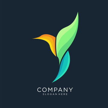 colorful calibri bird logo. vector logo, Bird icon design, Hummingbird Logo
