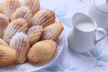 Classic French Madeleines Recipe. Homemade light dessert.