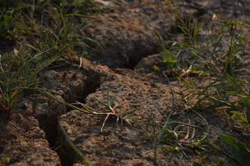 the ground