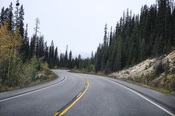 Fototapeta na wymiar Highway asphalt road in pine forest on overcast at national park